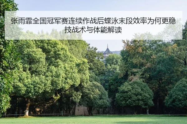 zhang-yu-fei-quan-guo-guan-jun-sai-lian-xu-zuo-zhan-hou-die-yong-mo-duan-xiao-lv-wei-he-geng-wen-ji-zhan-shu-yu-ti-neng-2-666.jpg